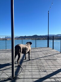 Jodi baby enjoying the views