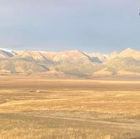 Early morning from porch