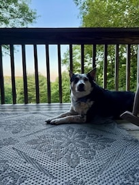 Wonderful weather and view on the back porch