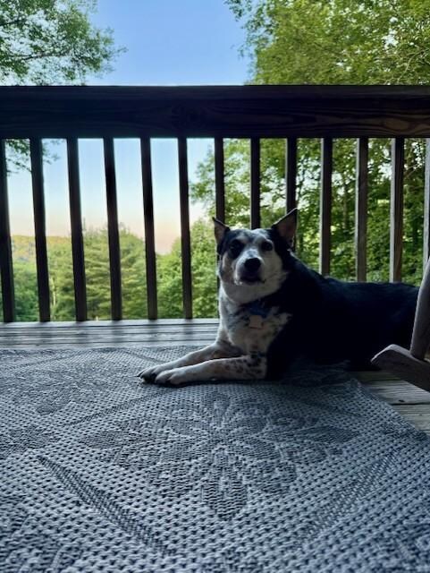 Wonderful weather and view on the back porch