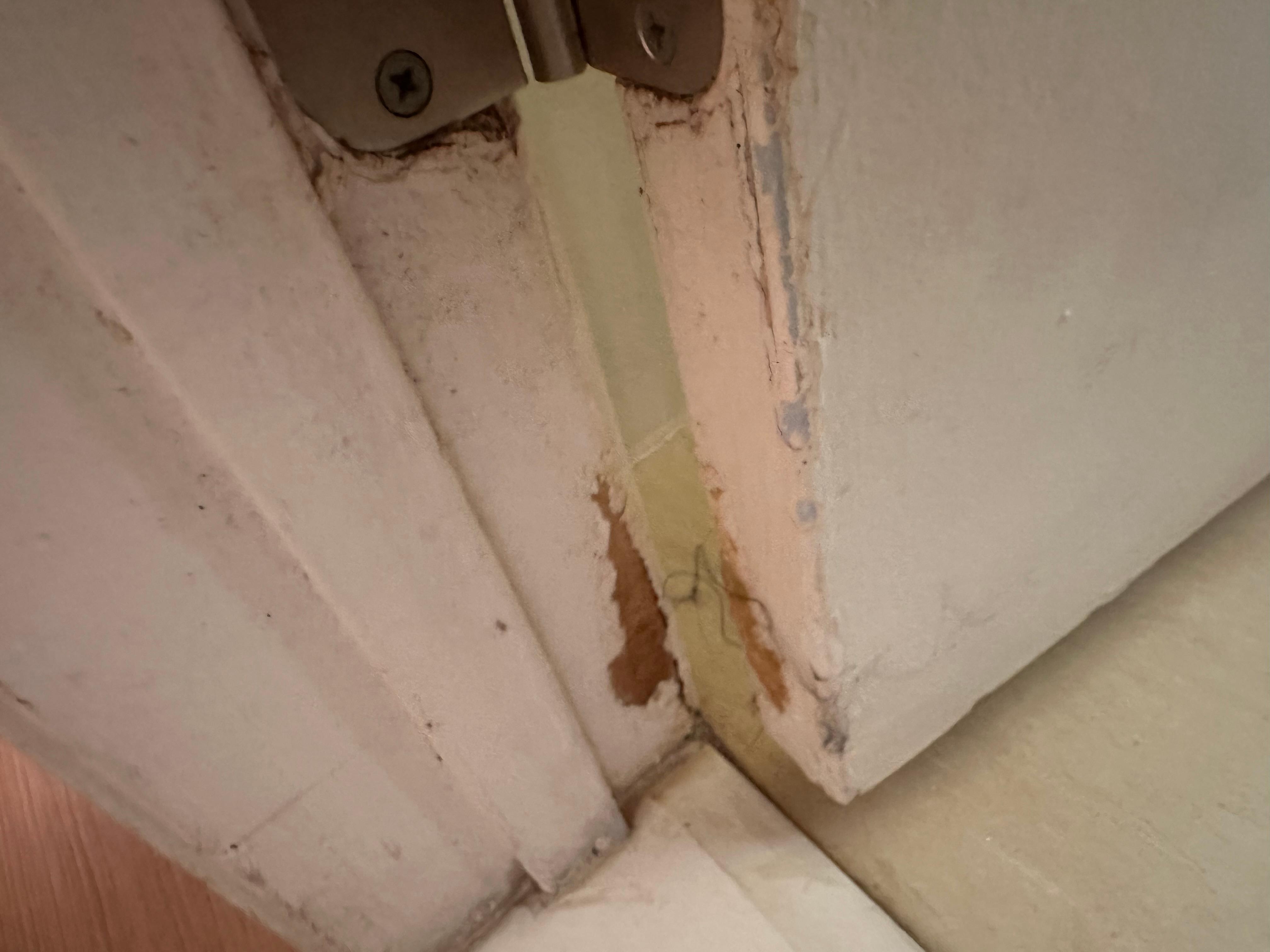Old hair stuck to door