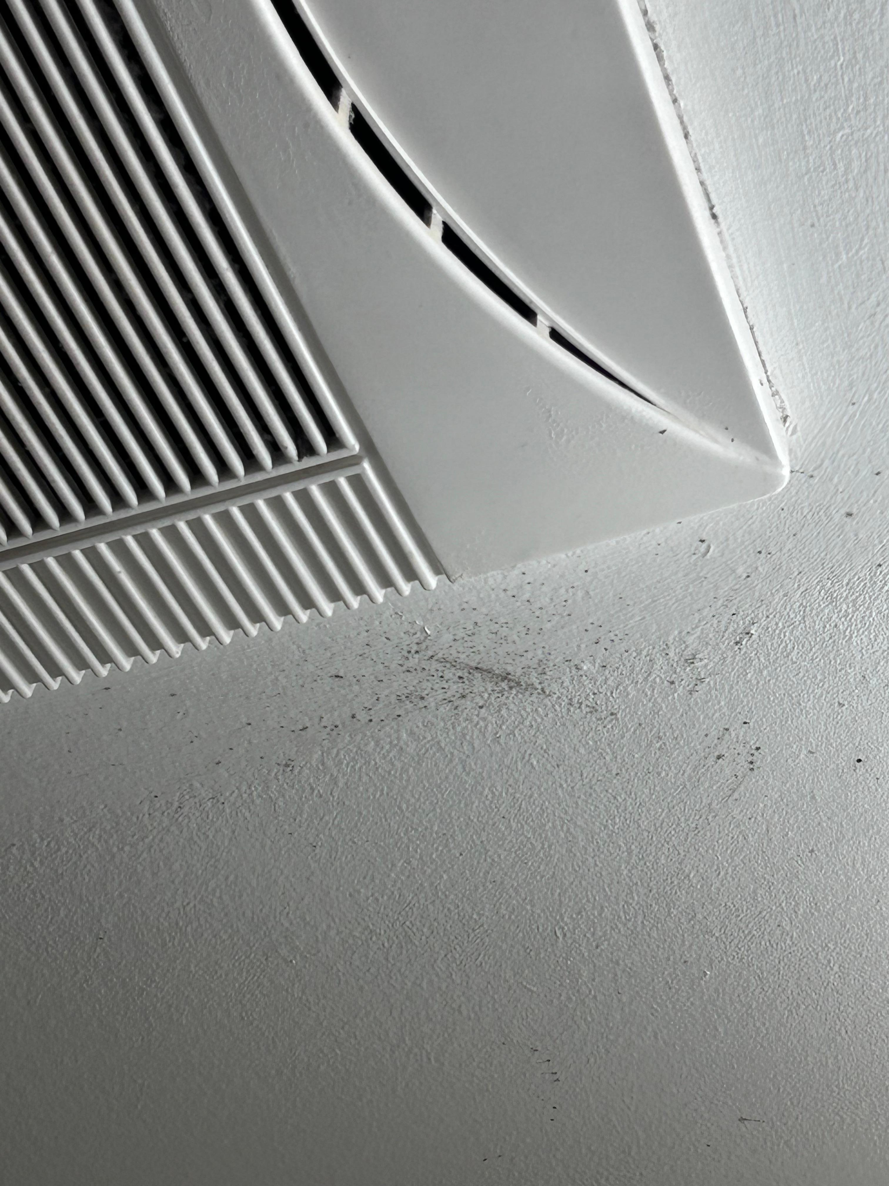 This is only some of the mold. 