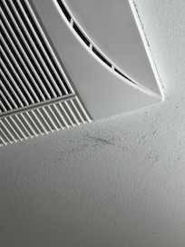 This is only some of the mold.