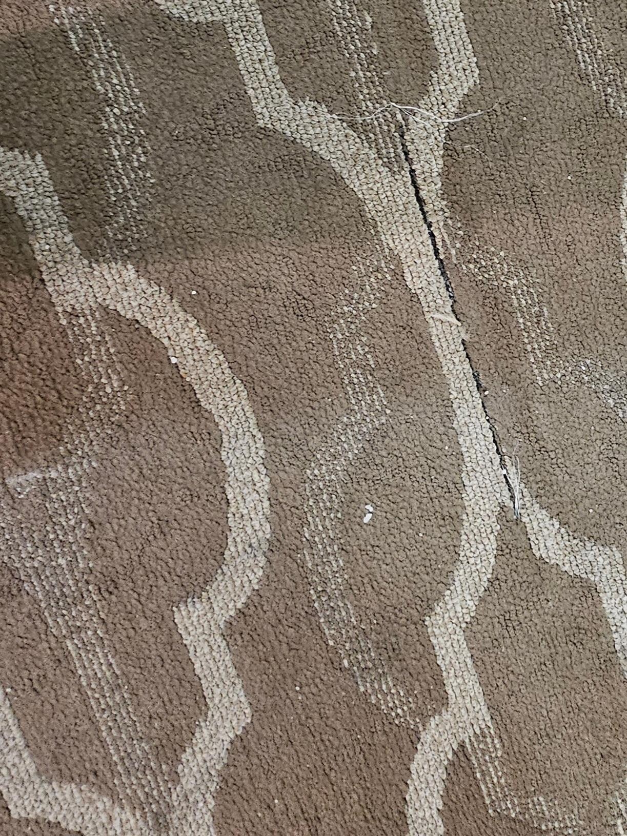 Dirty stained carpet