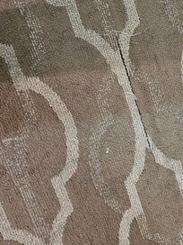 Dirty stained carpet