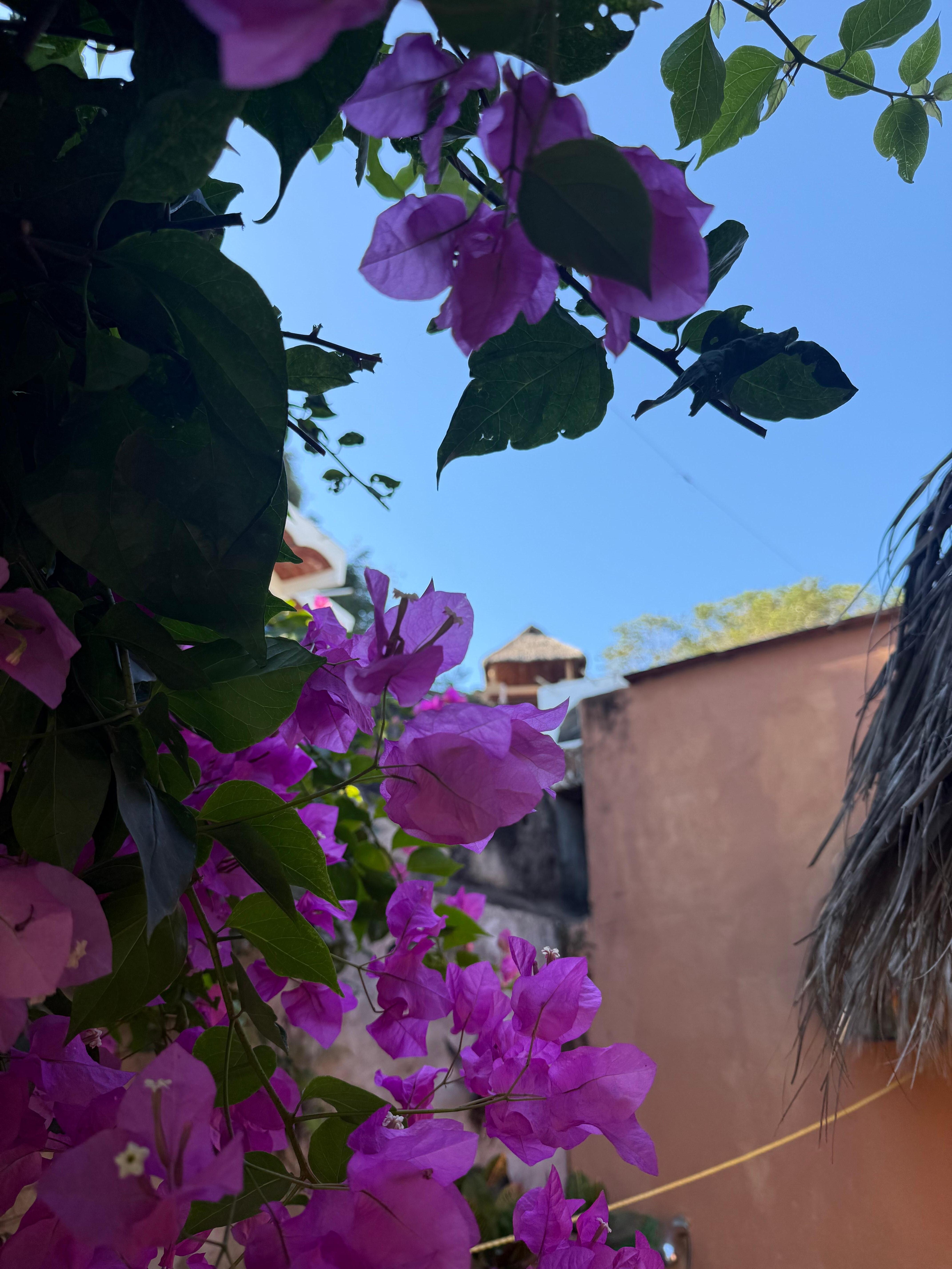 Sitting on the patio