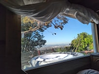 Morning view from the cabin.