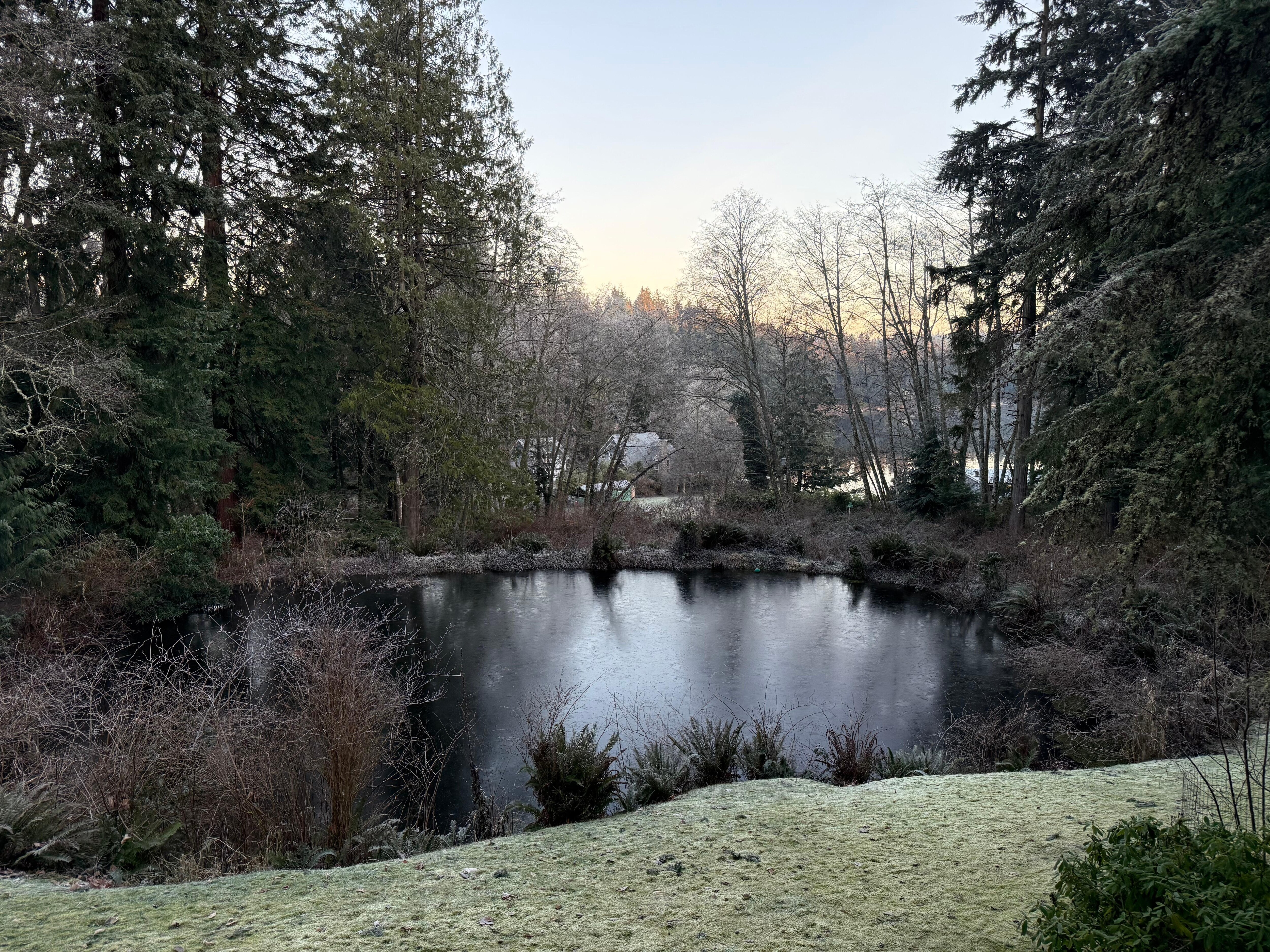 View of the pond and the lake