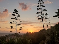 coucher de soleil depuis la terrasse de notre logement