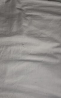 Sheets were covered in this short hairs on one of the rooms they tried to give me.