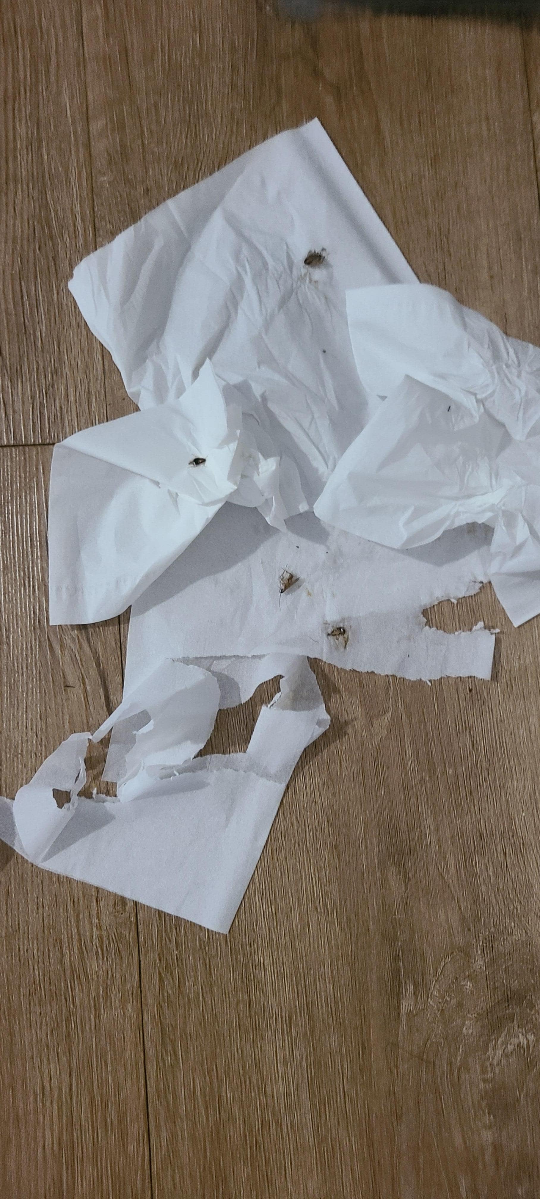 I left these napkins in the floor for the Staff to see when i left Sunday!🤢🤮