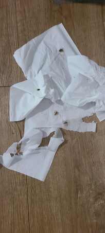 I left these napkins in the floor for the Staff to see when i left Sunday!đ€ąđ€ź