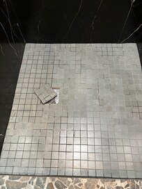 Shower was clogged and dirty