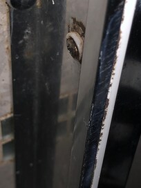Mould and filth in shower