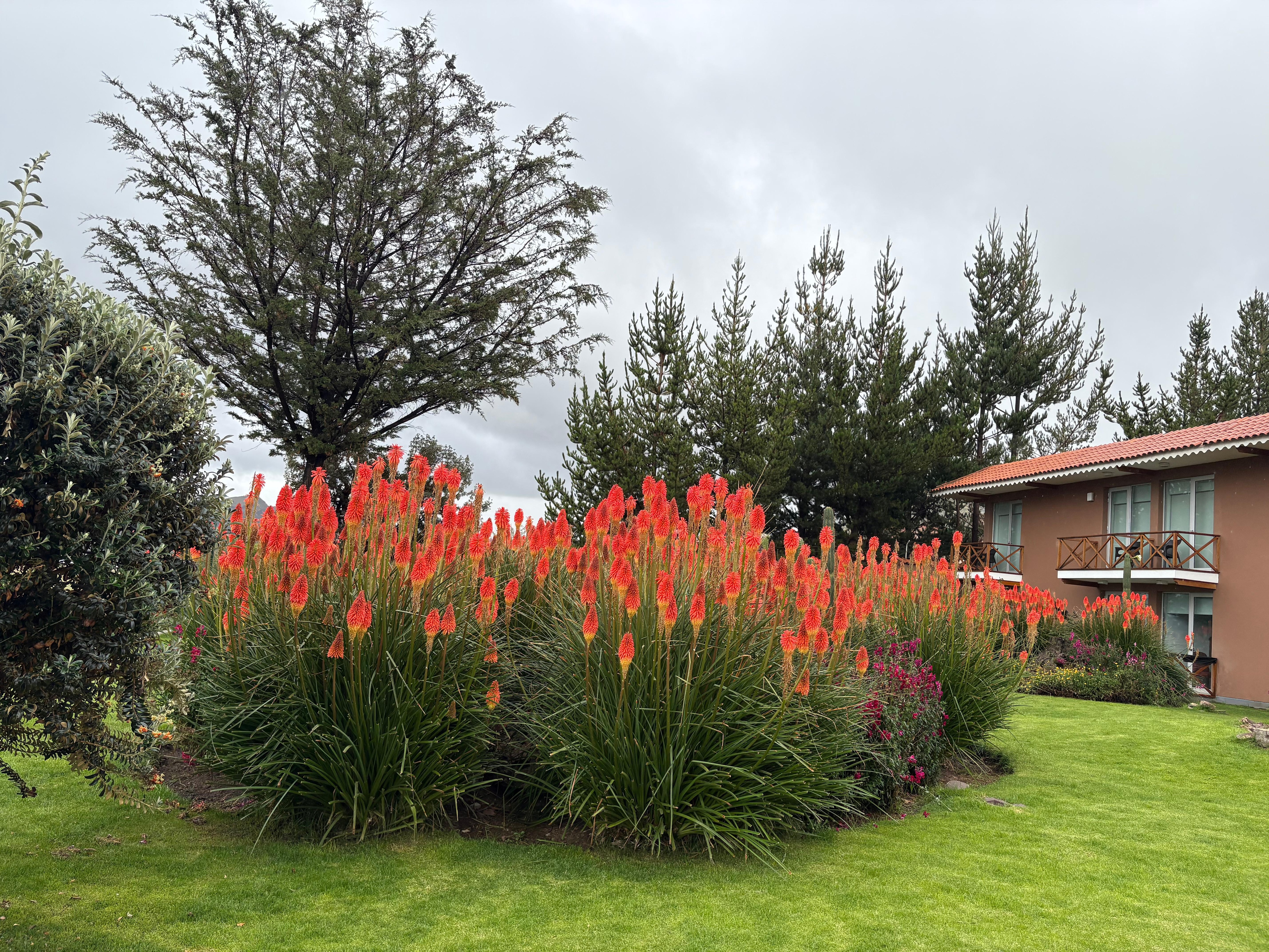 ホテルのお庭から