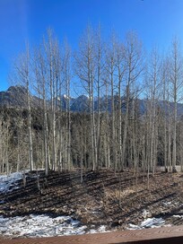 Mountains views from our living room!