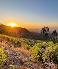 View from end of road