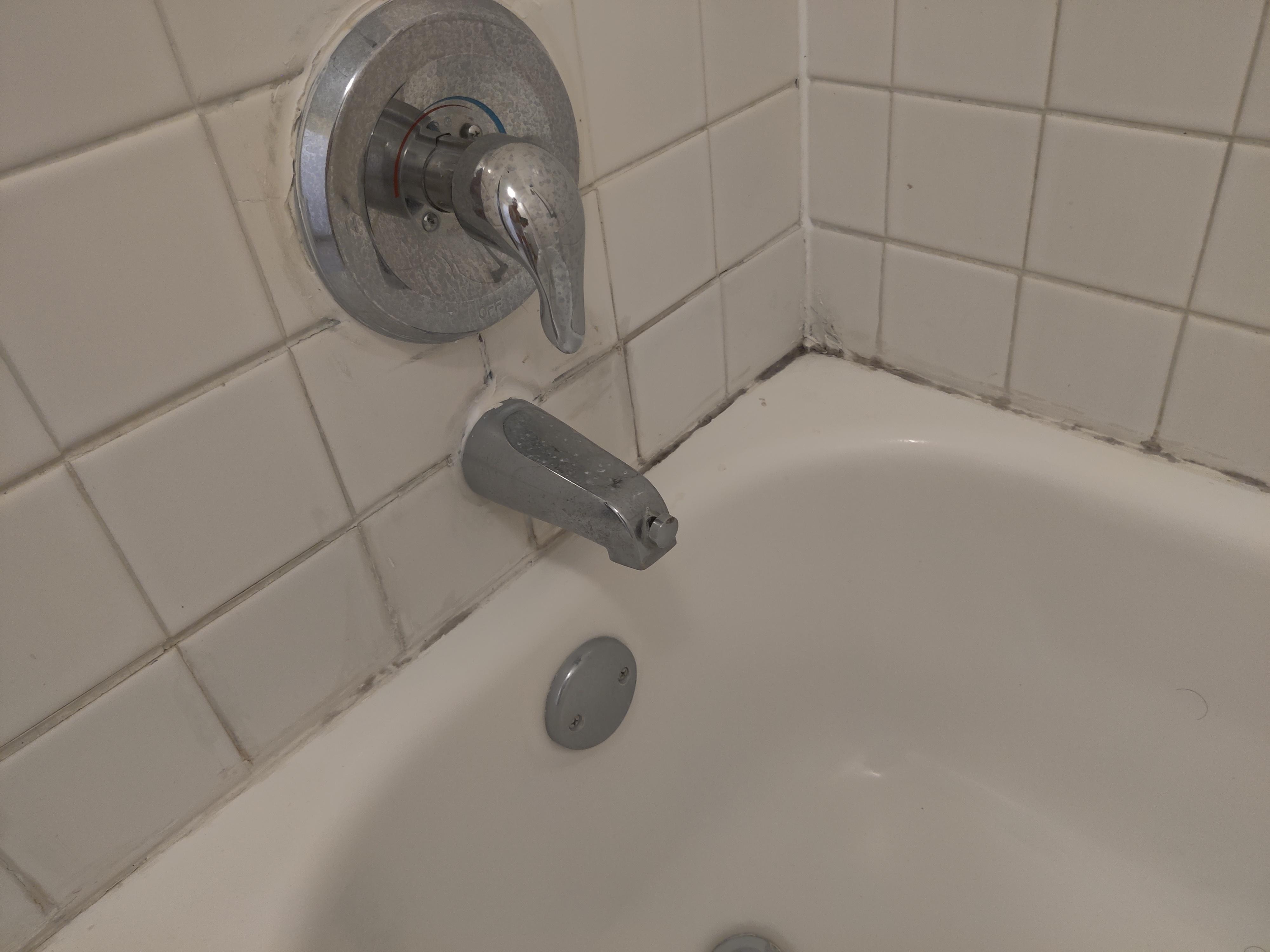 Mold in bathroom shower