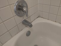 Mold in bathroom shower