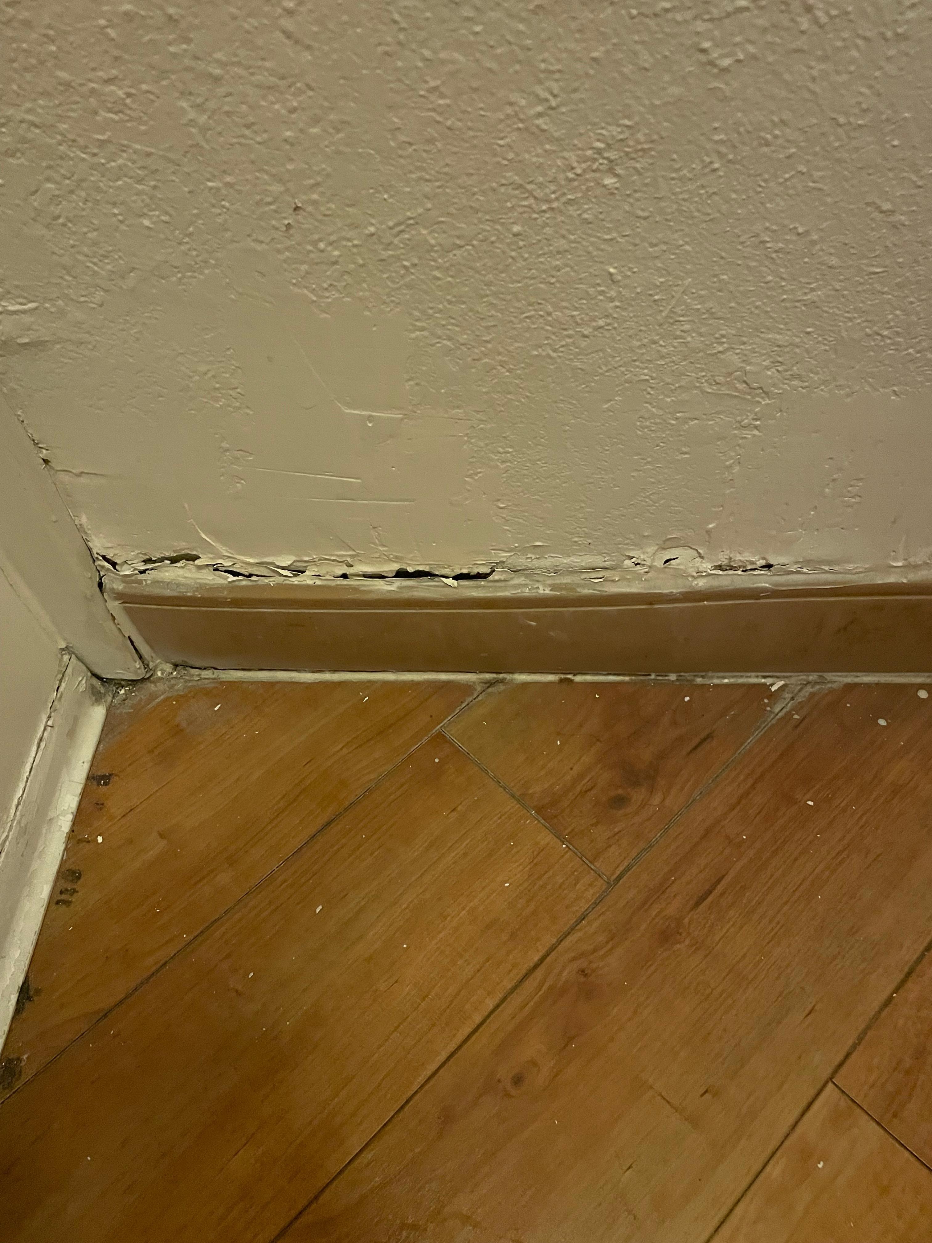 Bathroom baseboards they were like that all over the
