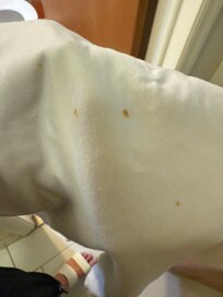 Pillow cases in the linen closet.