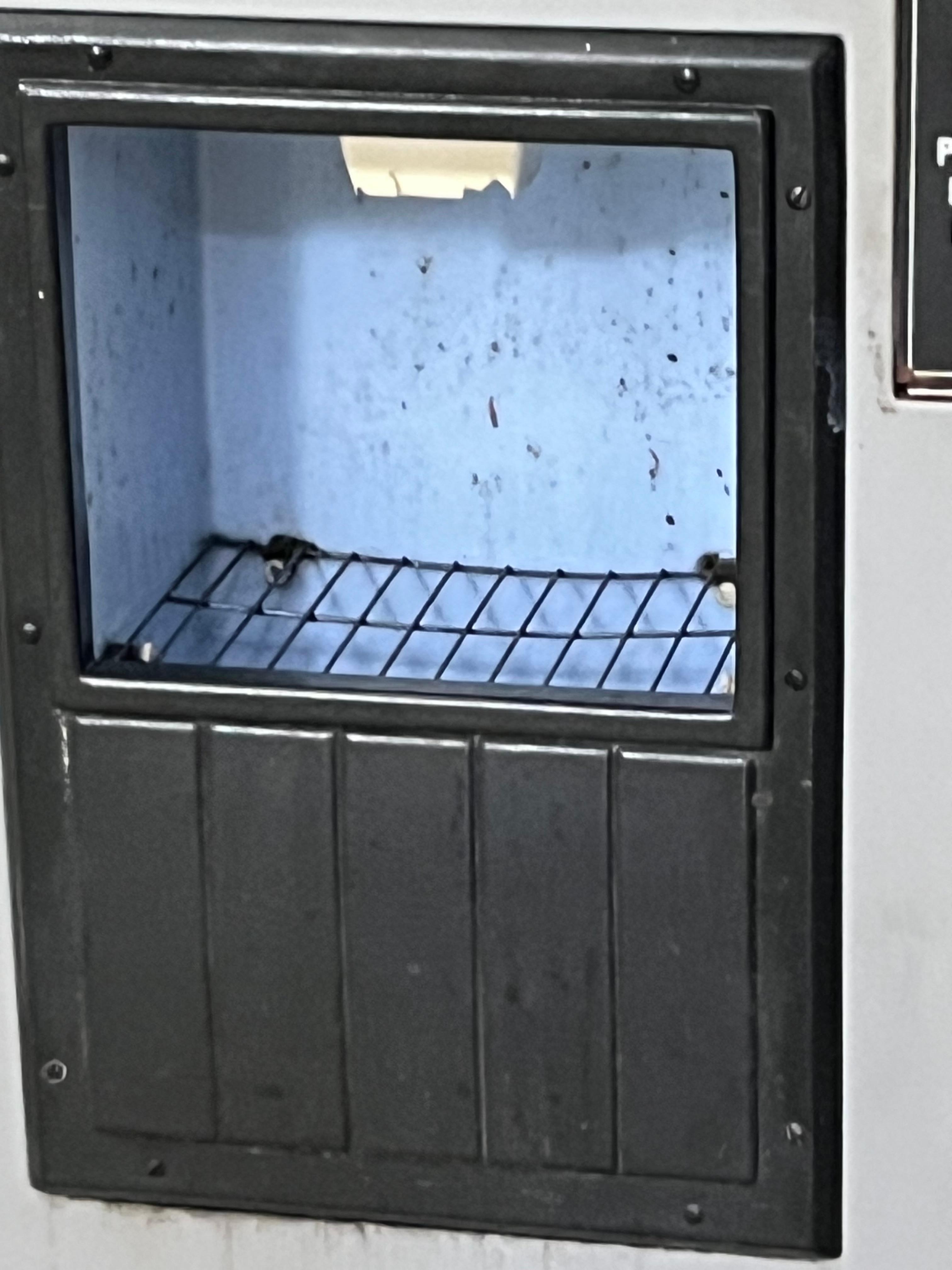Mold in the ice machine