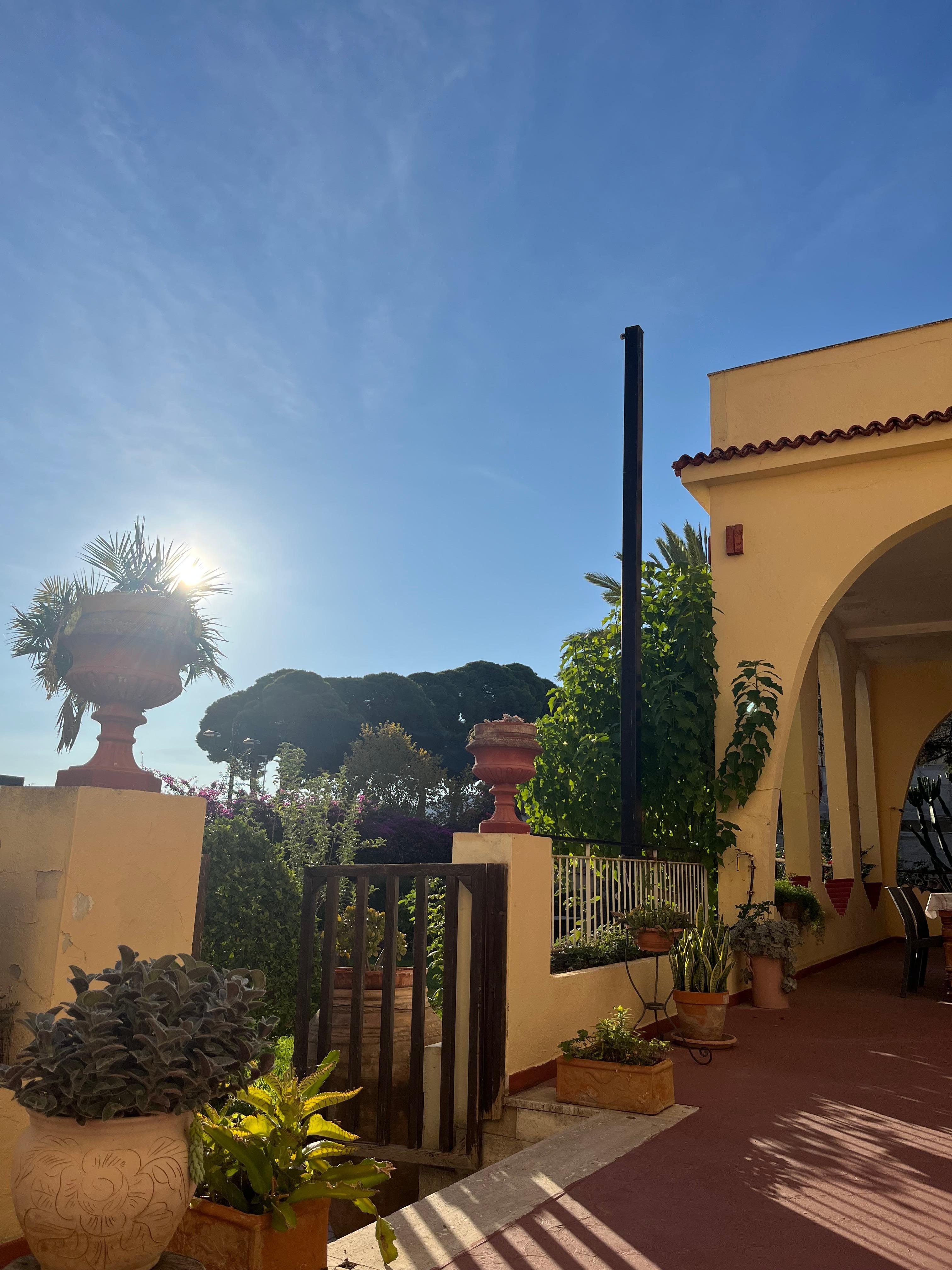 Blick von der Terrasse