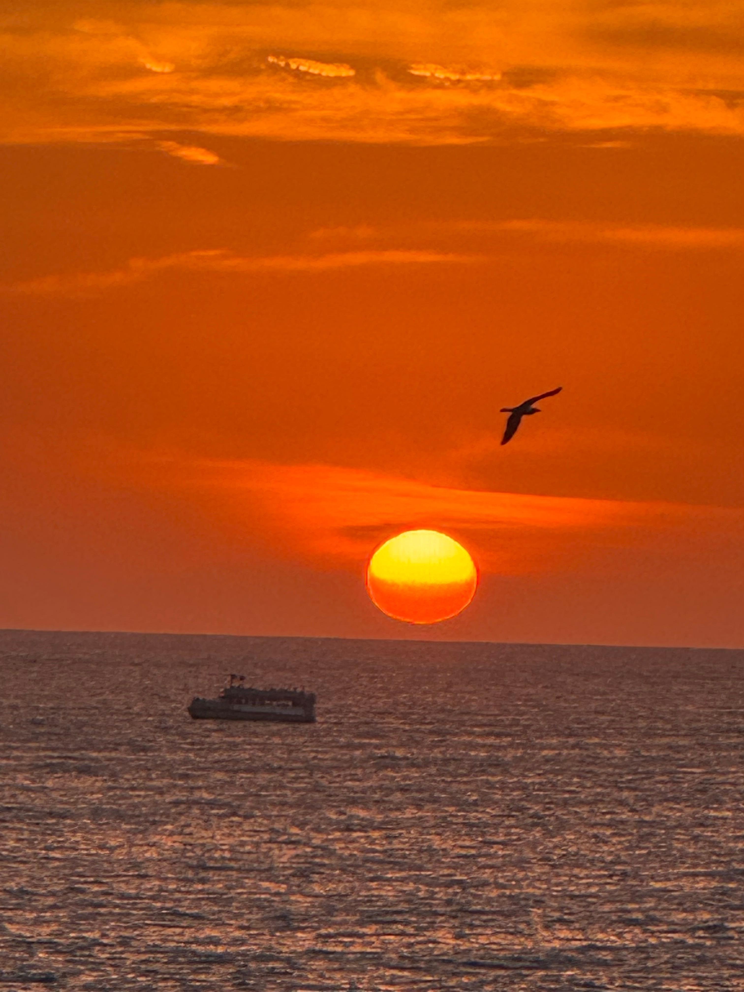 Another sunset