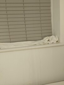 Water leaking through the window, down the blinds and wall.