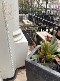 Website shows balconies but they are unusable and in terrible condition.