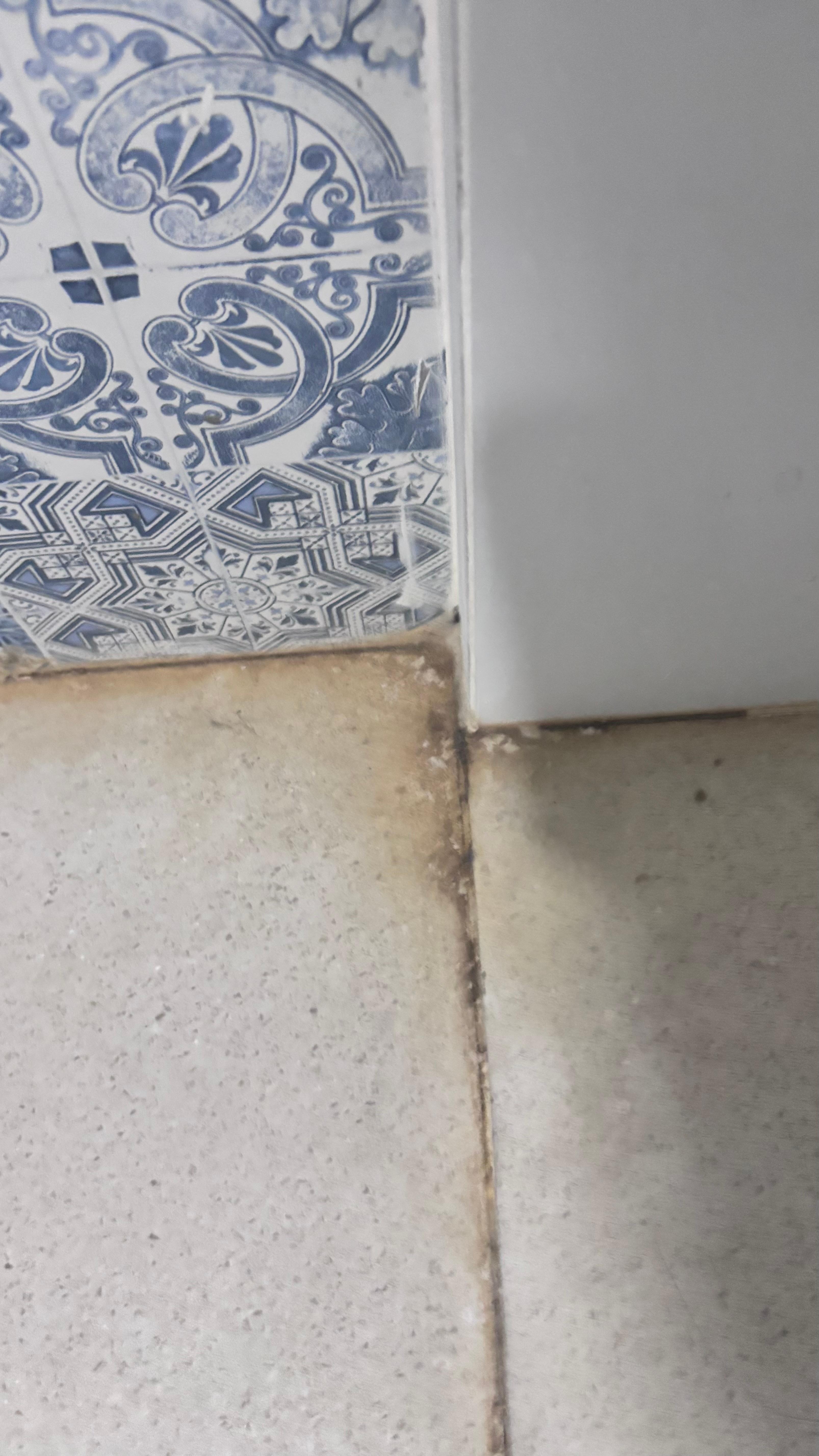 Corner of the shower, all the dirt and grime. 