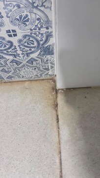 Corner of the shower, all the dirt and grime.