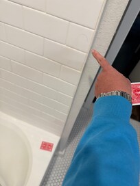 Prior tenants hair all in the shower