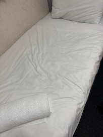 Cockroach on the bed and wall