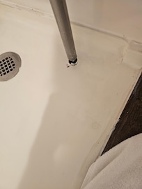 Waterlogged bug in shower