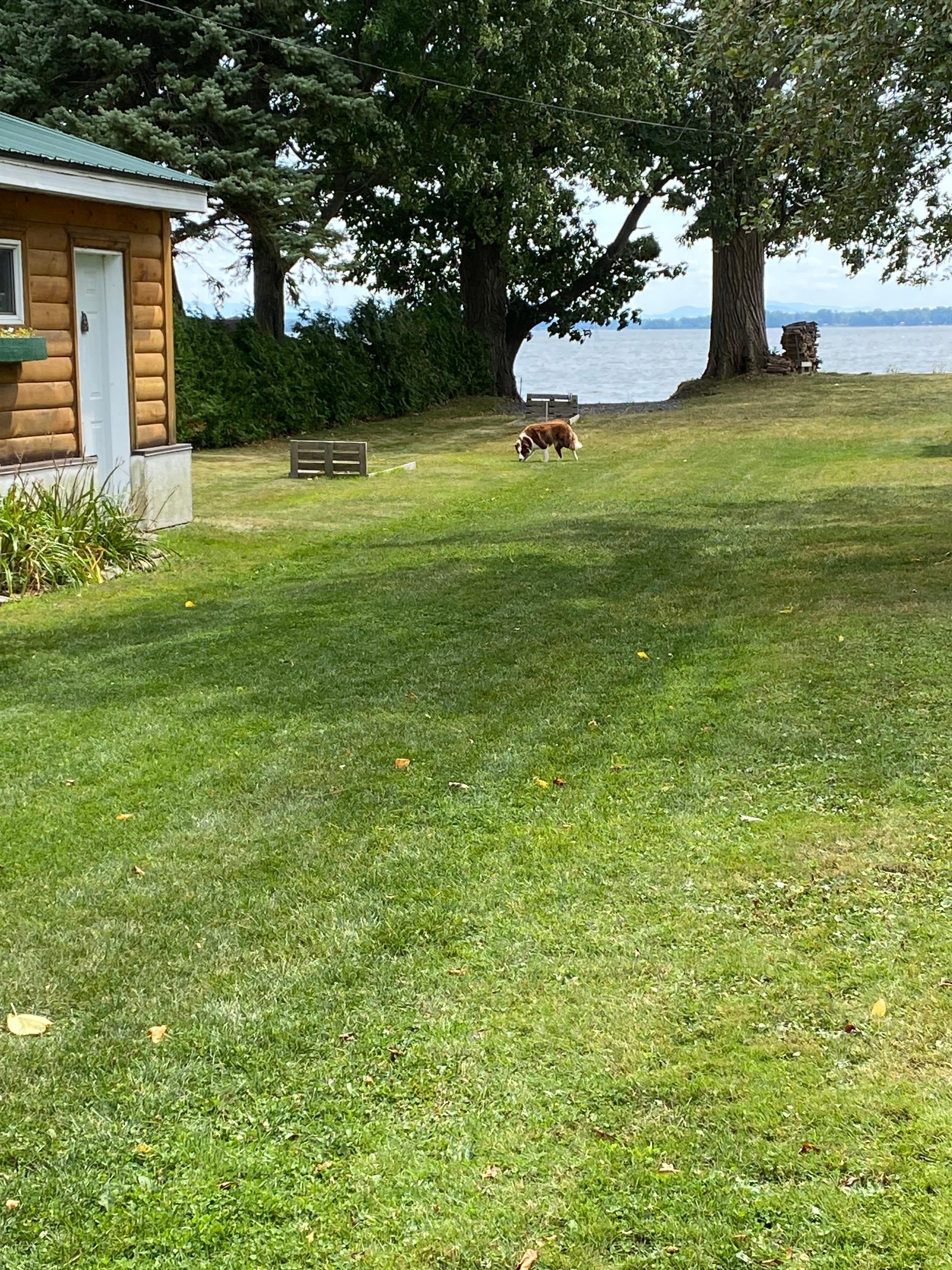 Front to rear left side 