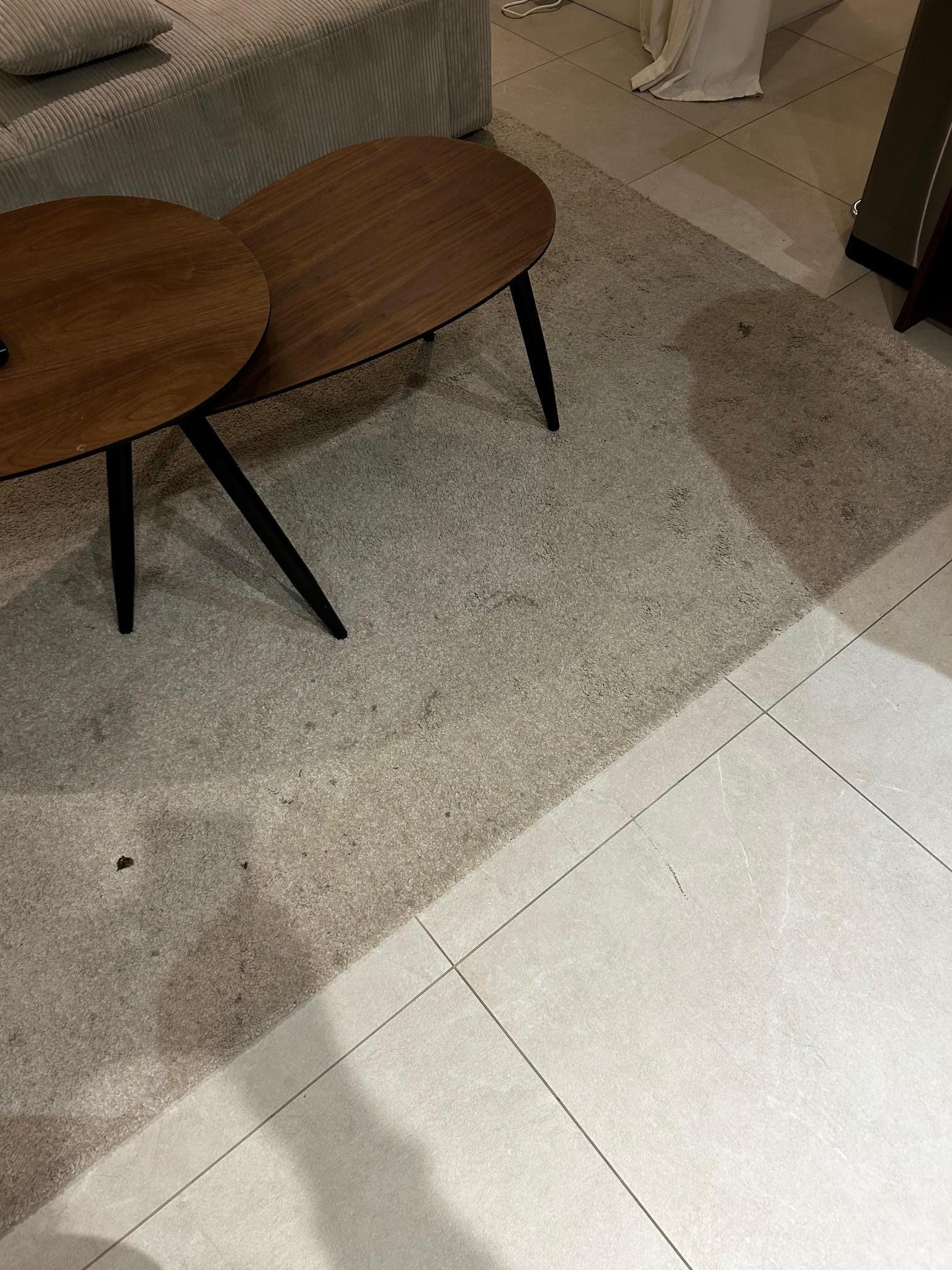 This was the carpet when we arrived. Filthy!