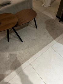 This was the carpet when we arrived. Filthy!