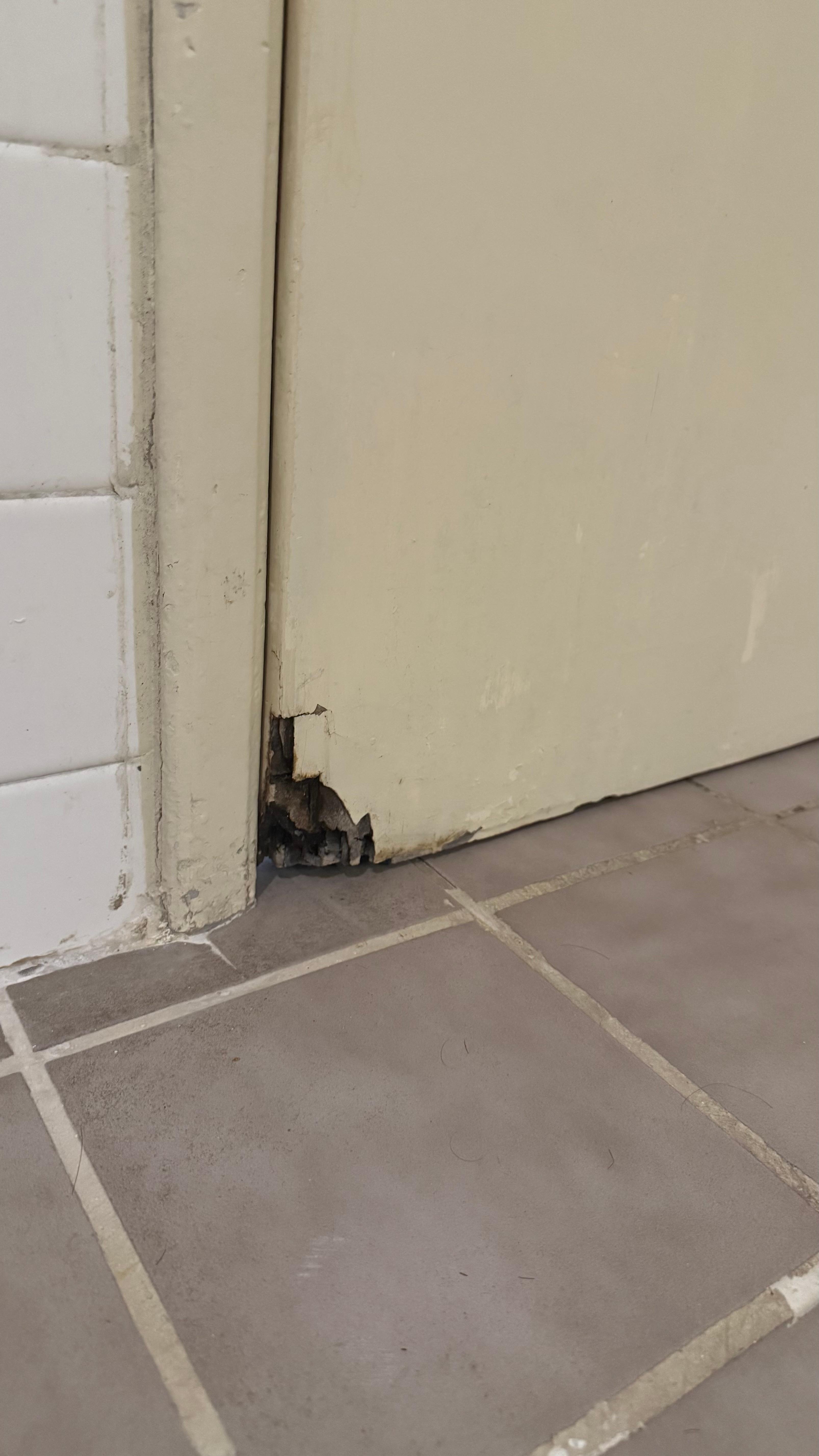 Broken doors, and not enough power outlets in the bedroom. Most things were in poor conditions.