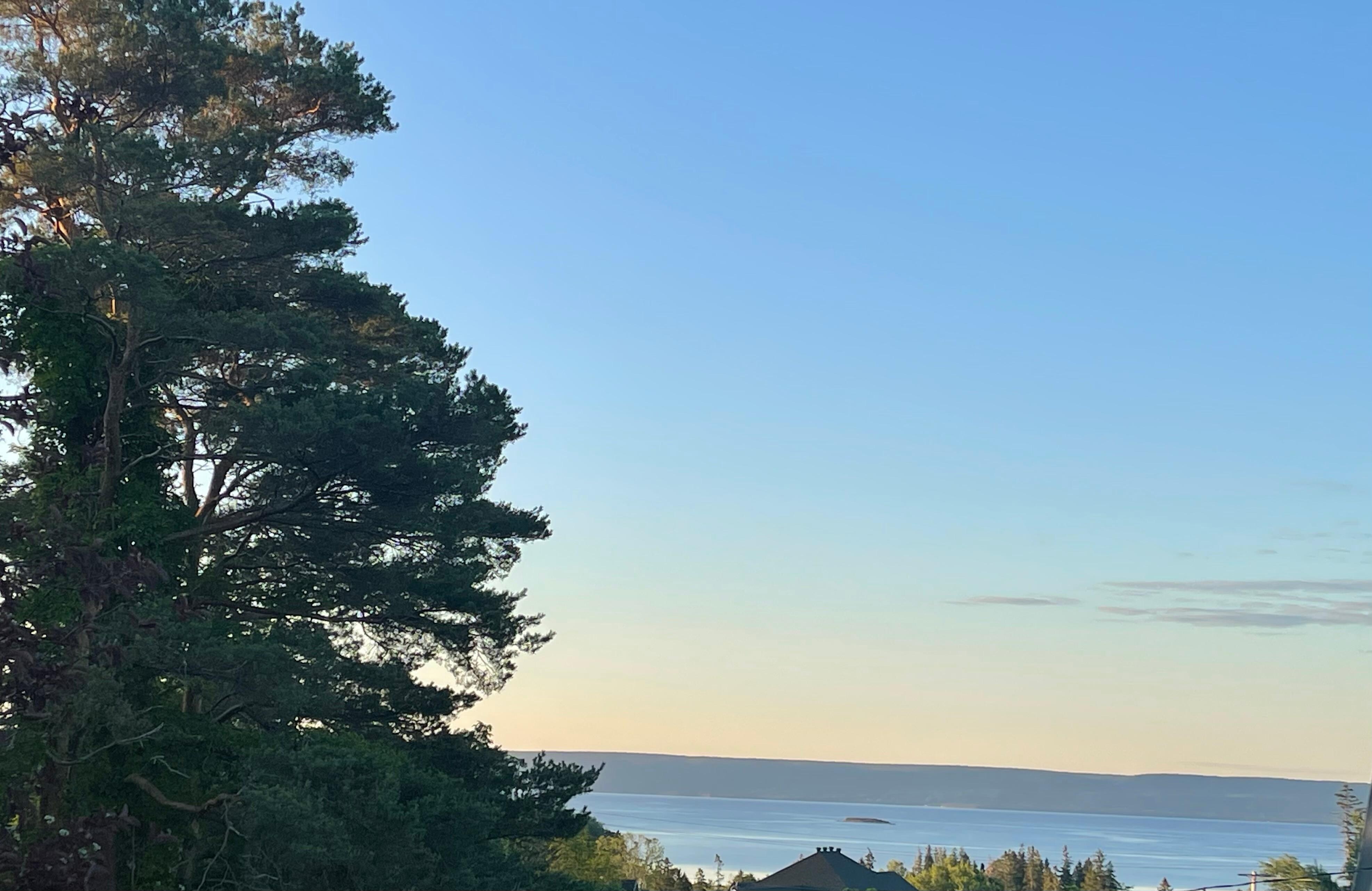 View from room