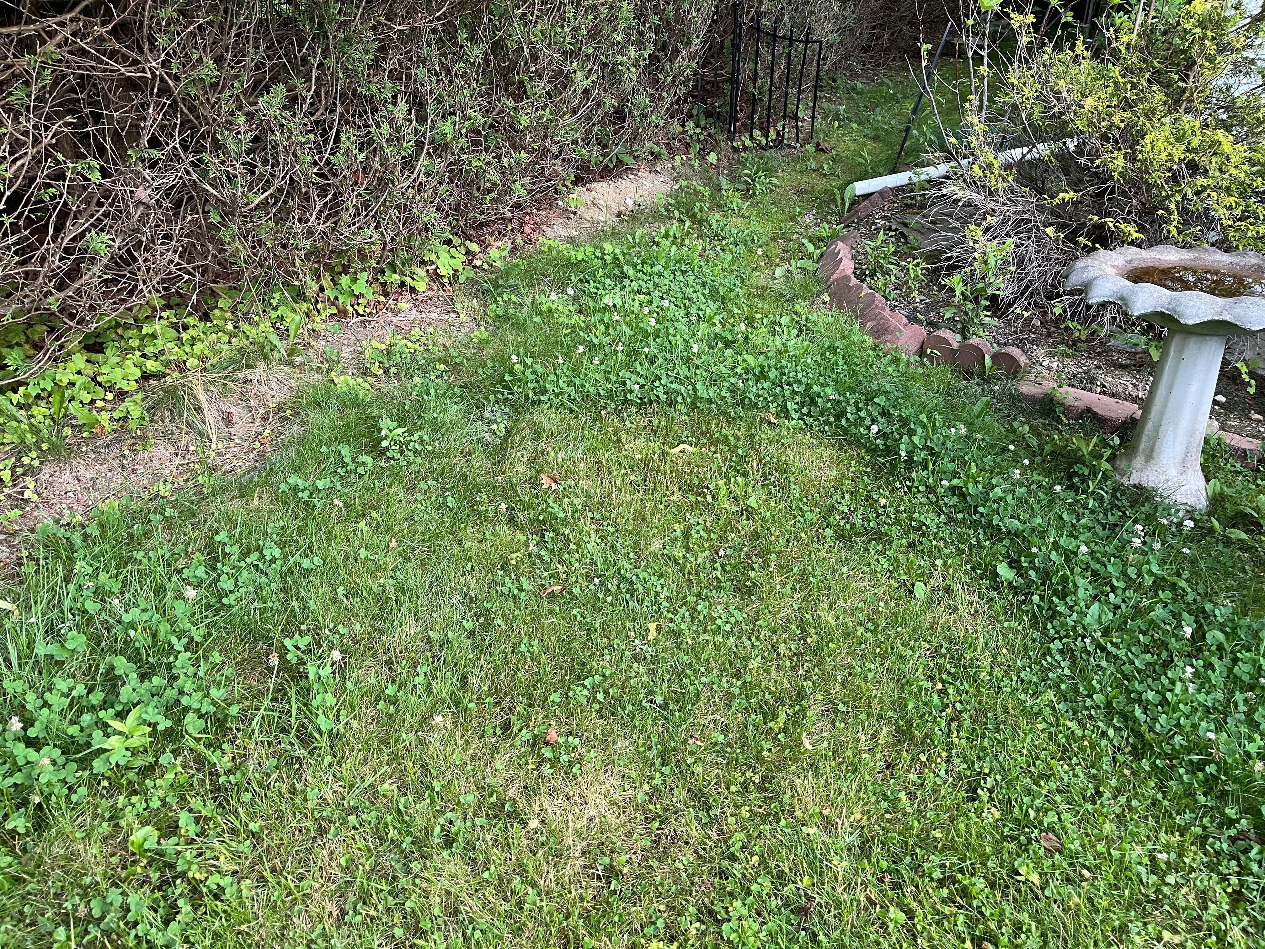Lawn care was done during our stay but was done poorly.