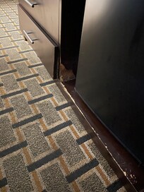 Cabinets beyond repair