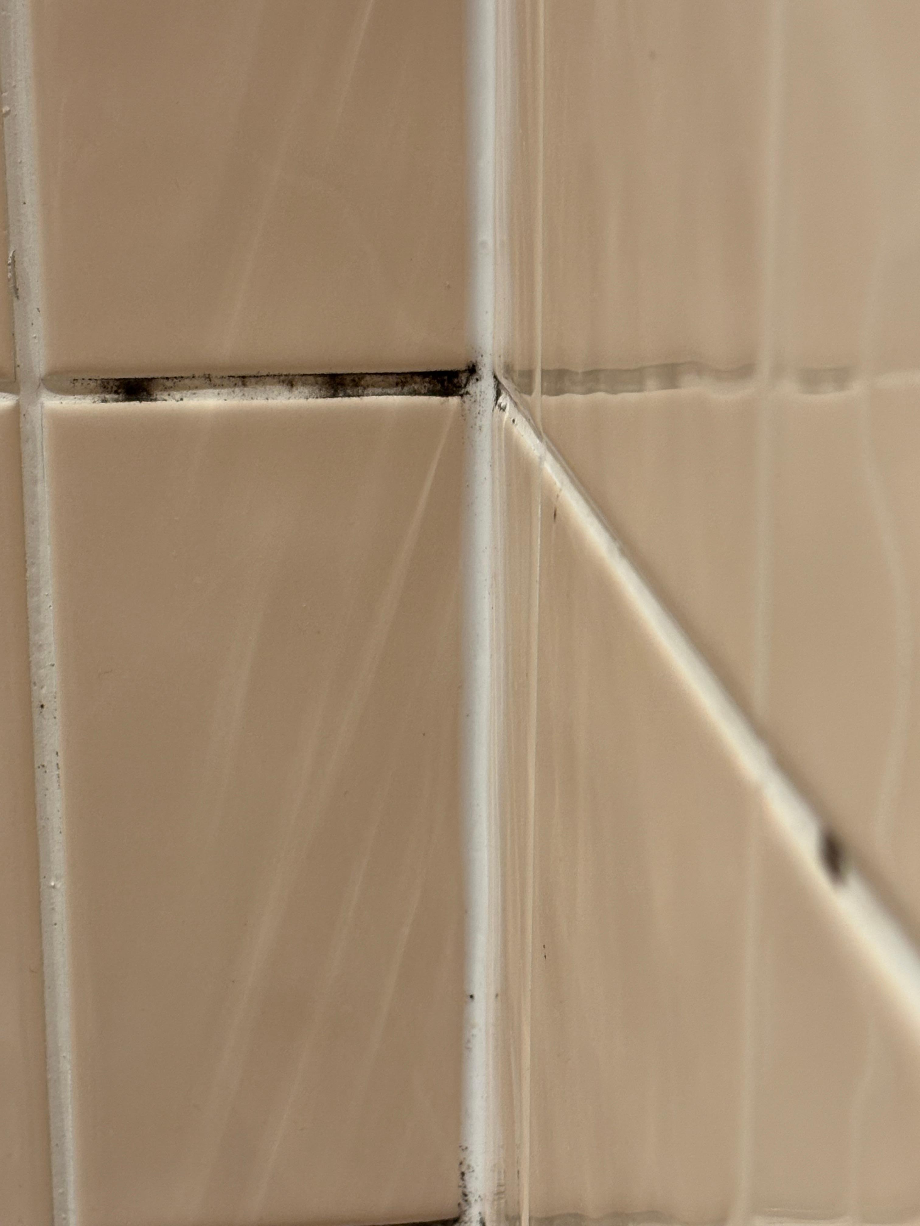 Don’t know what on bathroom walls 