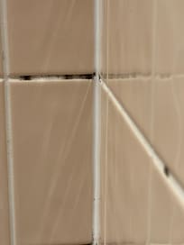 Don’t know what on bathroom walls