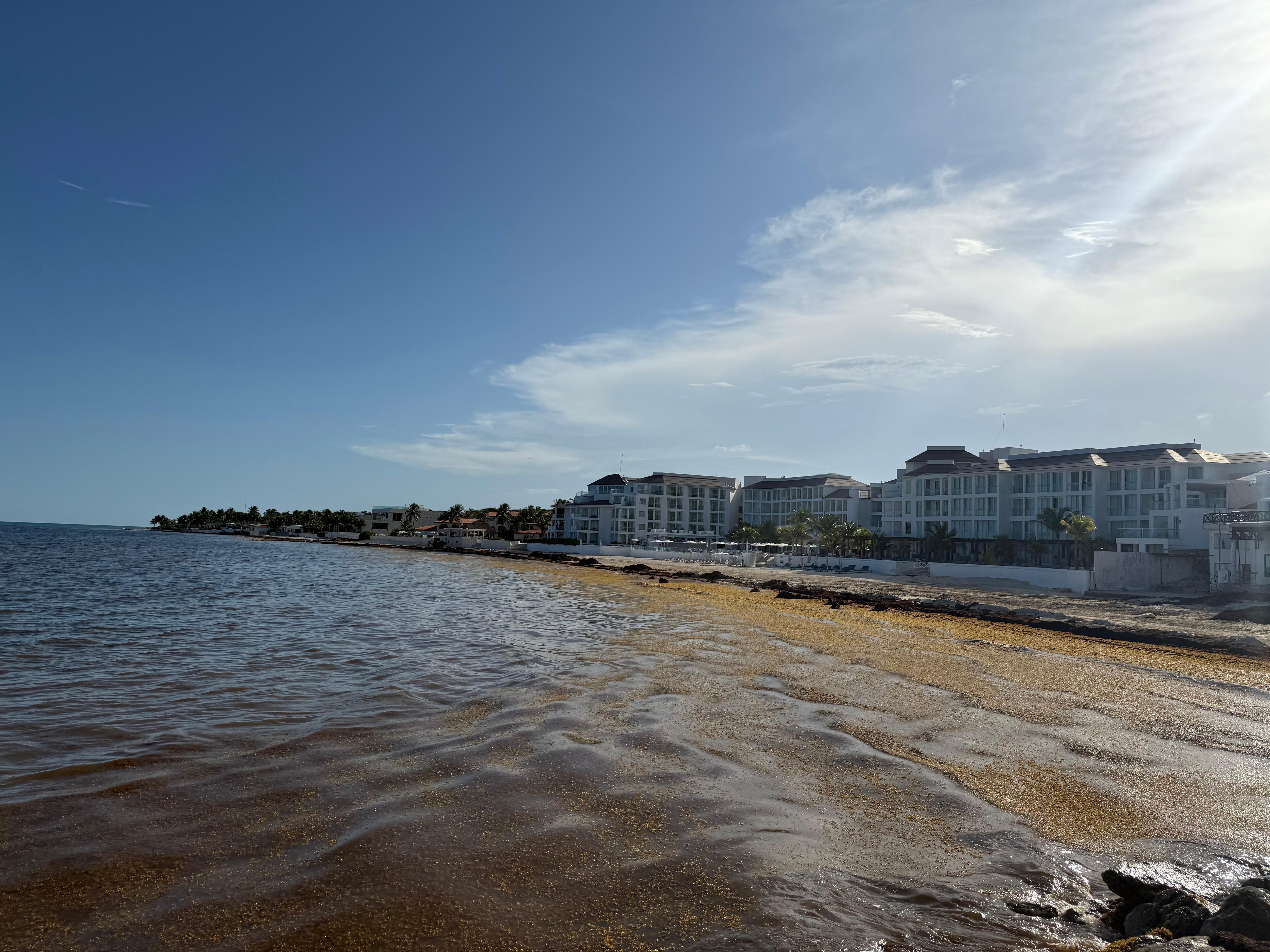 Dirty beach 