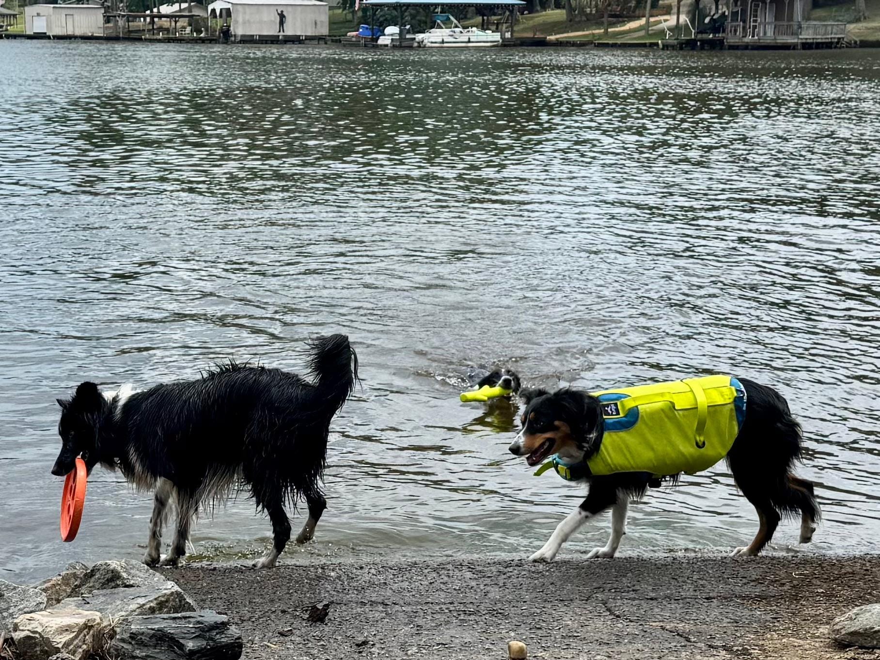 Save fenced area to get into the lake