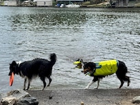 Save fenced area to get into the lake