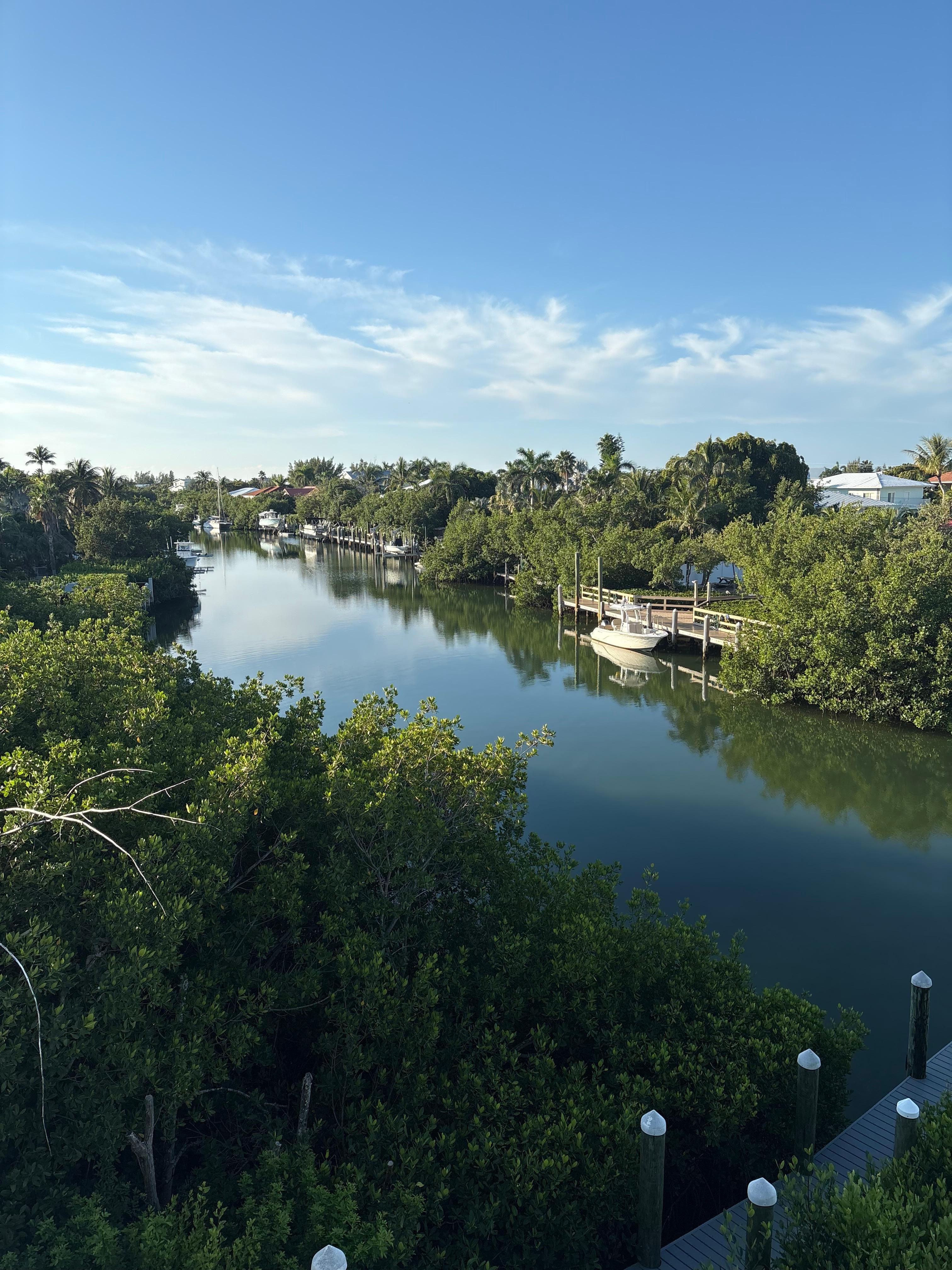 Looking to left off balcony 