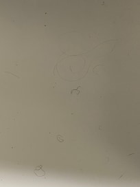 Dryer tube inside shows lots of hair was all over tub along with dirt