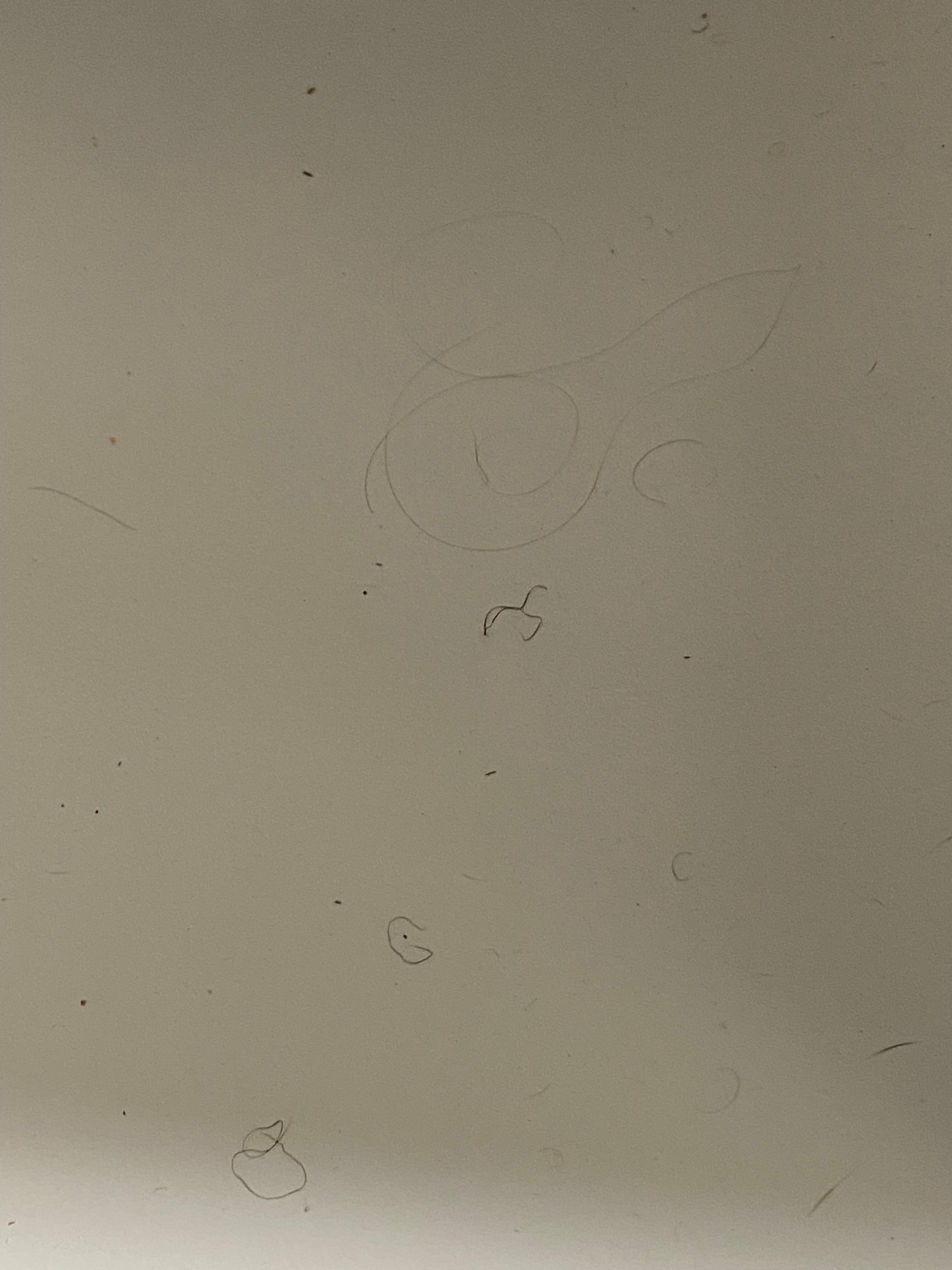 Dryer tube inside shows lots of hair was all over tub along with dirt 